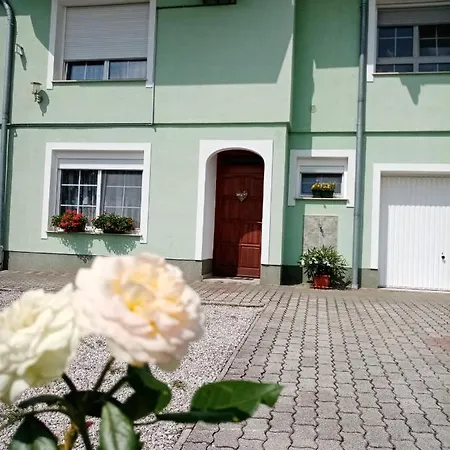 Magnolia *